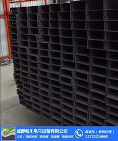 寶興縣暢川電氣 專業(yè)提供一次性成型橋架的優(yōu)質商家